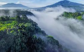 Wong Deso Camping